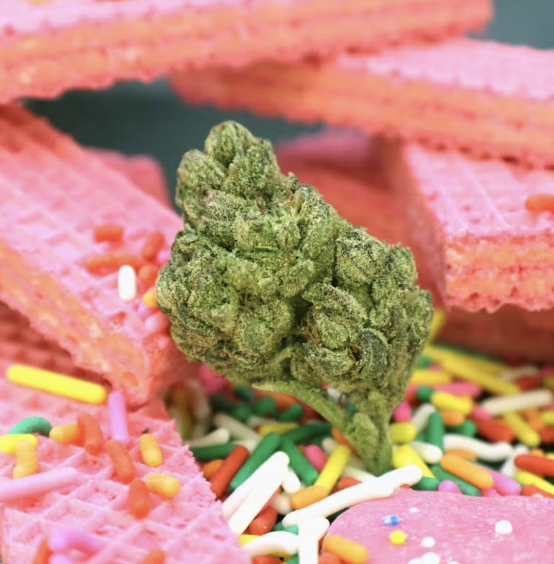 Photograph of product: Pink Cookies | Hybrid - 3.5g