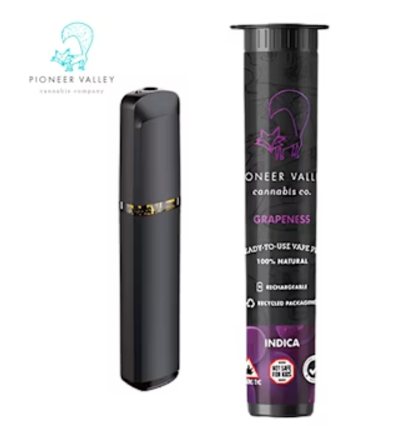 Photograph of product: Pioneer Valley Grapeness Disposable