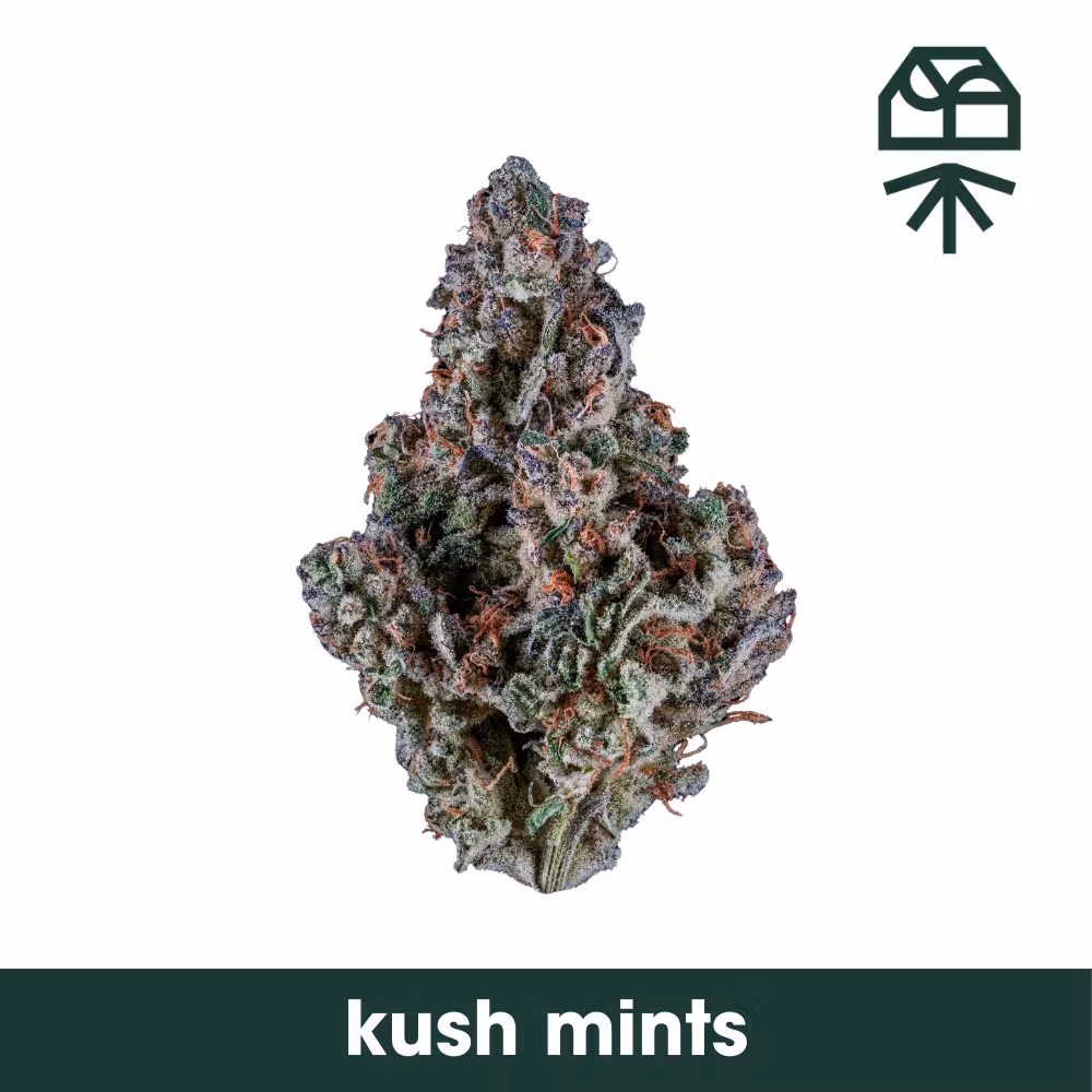 Photograph of product: Kush Mints - 3.5g