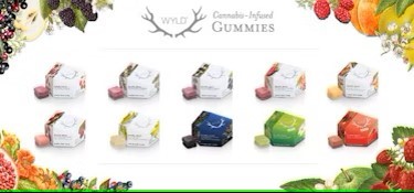 Photograph of product: Wyld - 2:1 Peach Gummies 10 Pack (150mg)