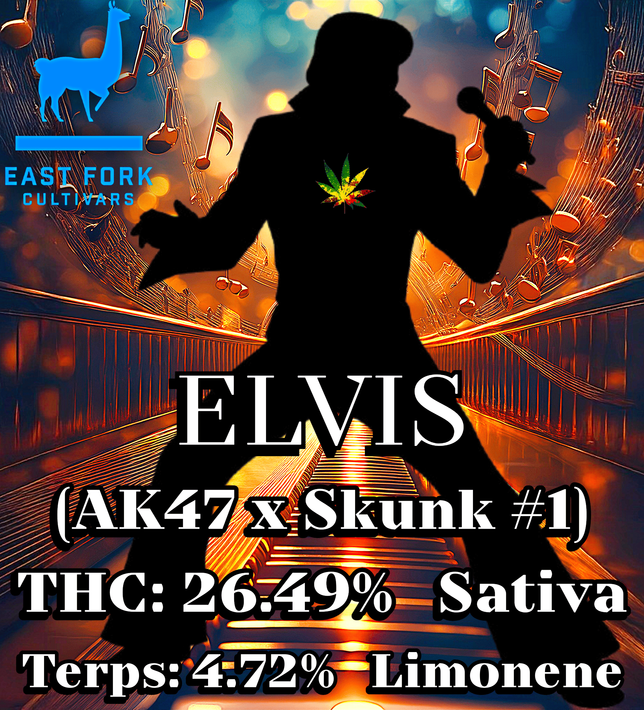 Photograph of product: Elvis (East Fork Cultivars) - 28g
