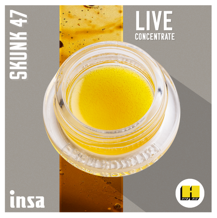 Photograph of product: Live Budder - Skunk 47