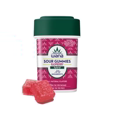 Photograph of product: Raspberry Gummies | 10pk 100mg