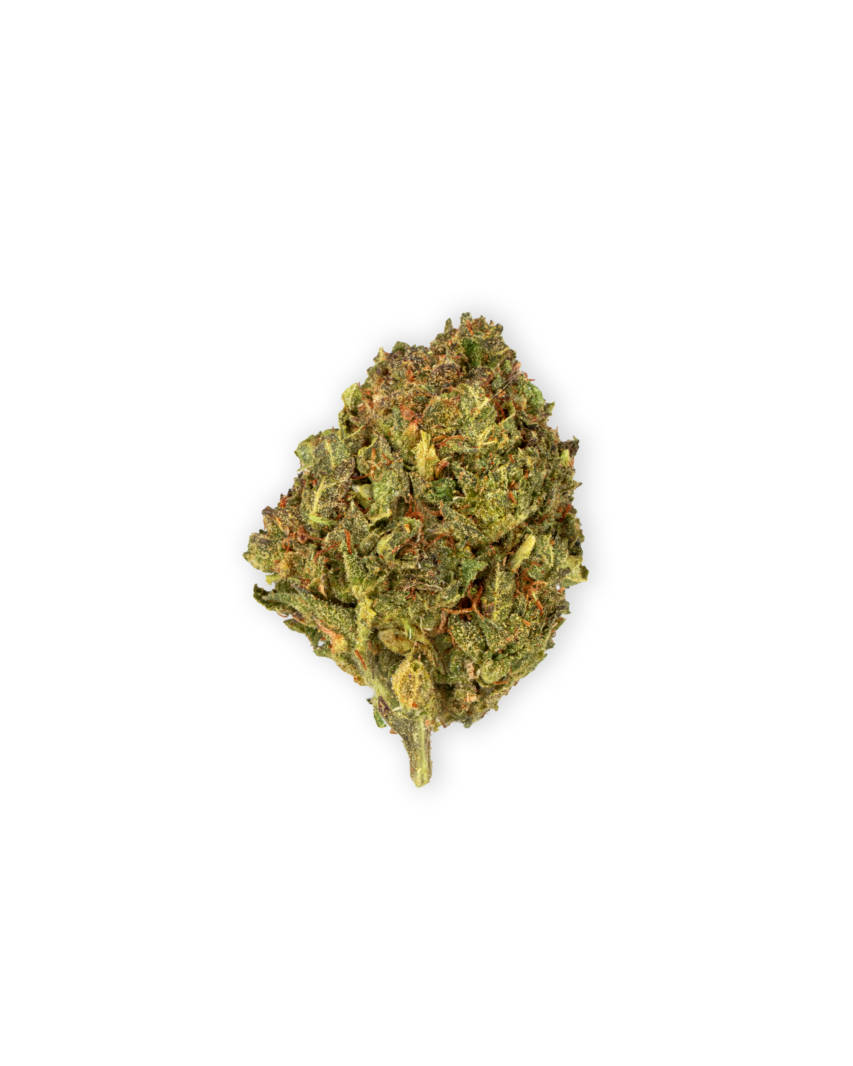 Photograph of product: JACK HERER | 3.5 g - 3.5g