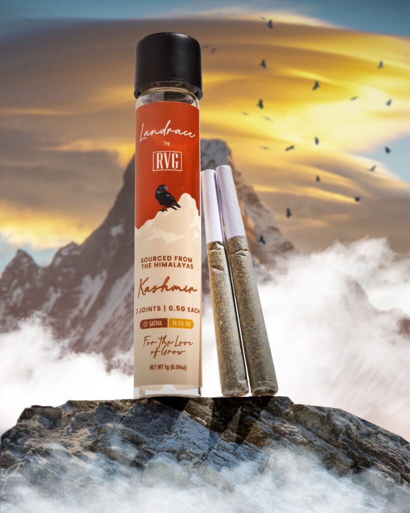 Photograph of product: Kashmir | 2 Pack