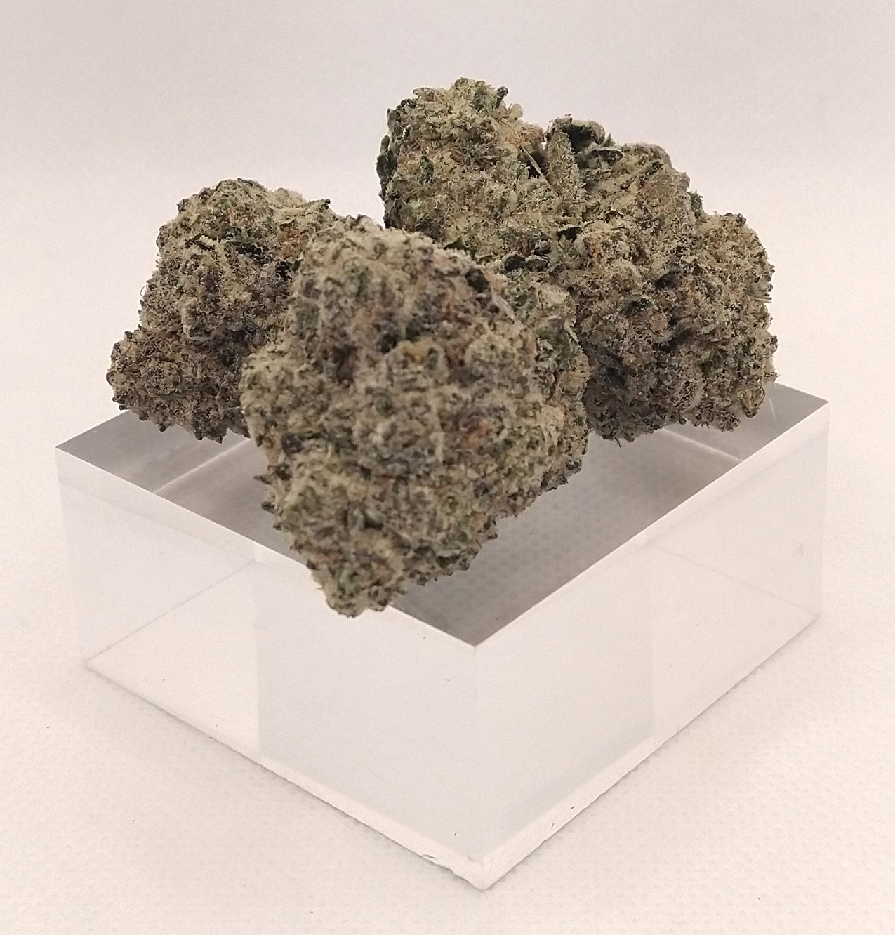 Photograph of product: Ghost Budsters | Planet Purple | Hybrid | Bulk Flower | Bees Knees - 1g