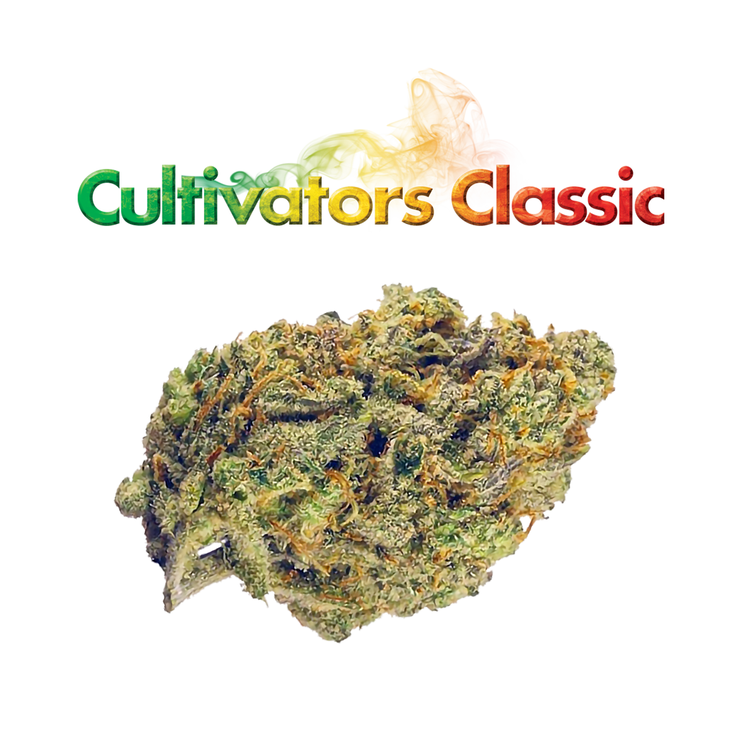 Photograph of product: Cultivators Classic | Papaya Cake #5 Flower | 3.5g