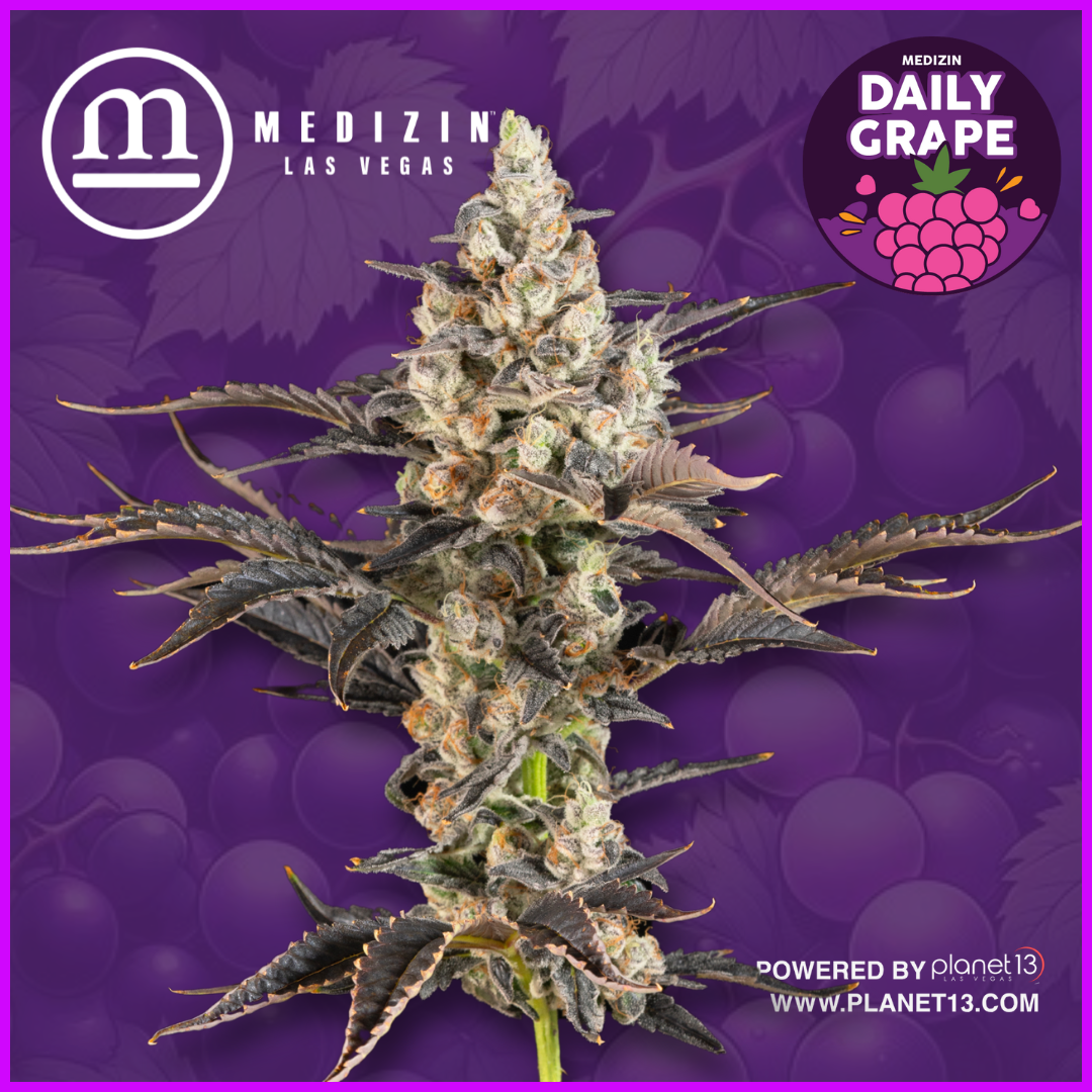 Photograph of product: Daily Grape 3.5g Prepack