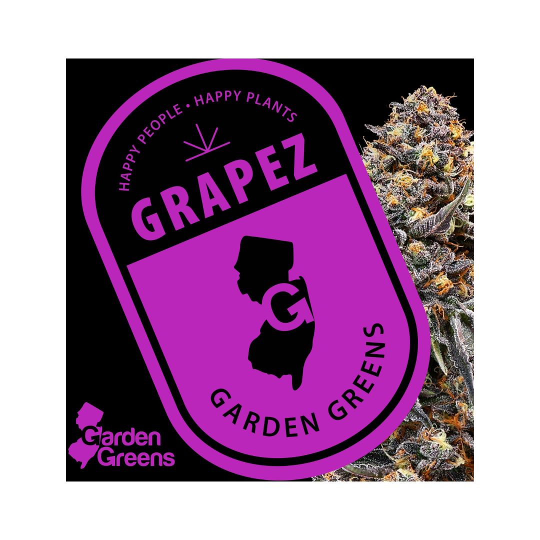 Photograph of product: [REC] Garden Greens | Grapez | 7g Big Bud