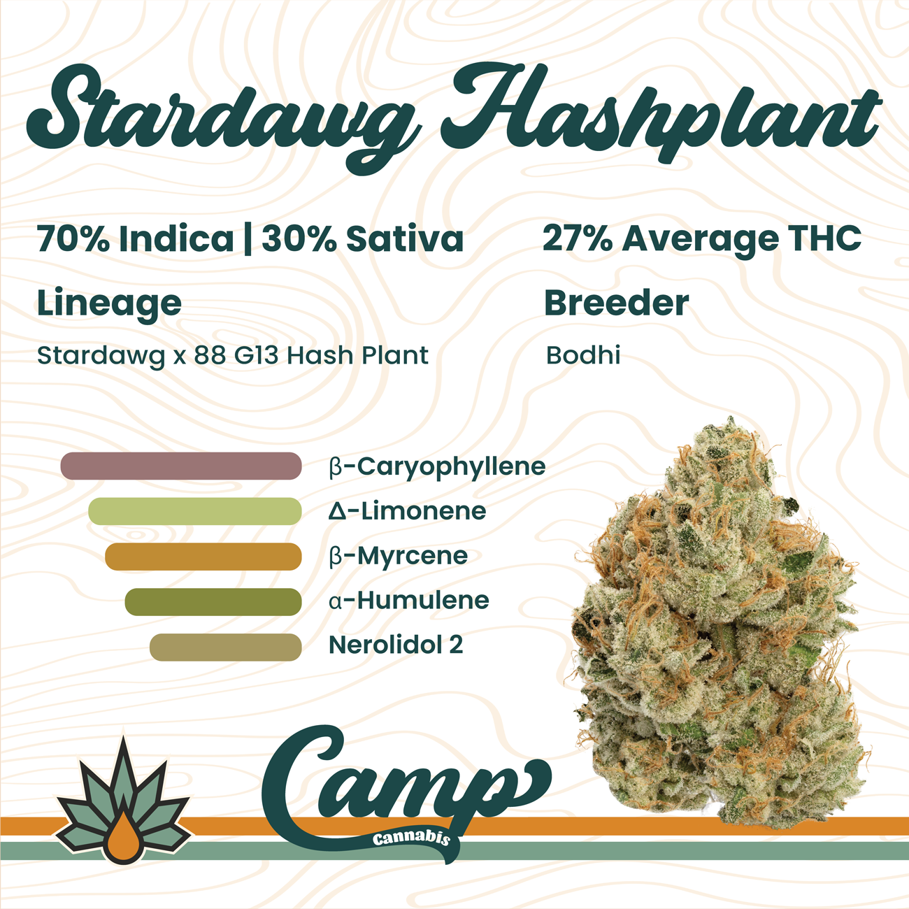Photograph of product: Stardawg au chocolatplant | 3.5g | Camp