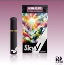 Photograph of product: Skyy | Disposable | Berry Gelato