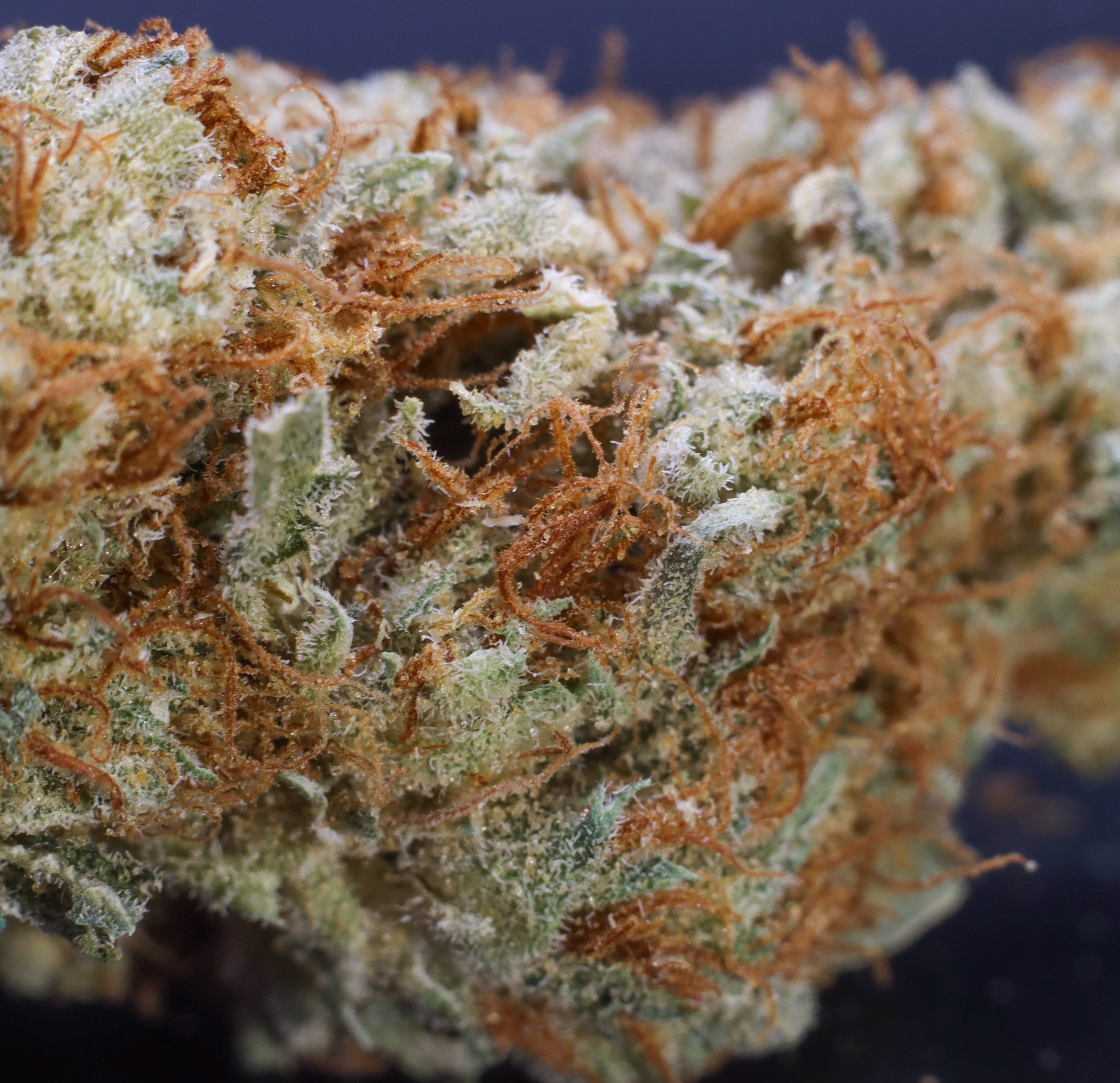 Photograph of product: Platinum Shelf - Furious George (H) - 28g