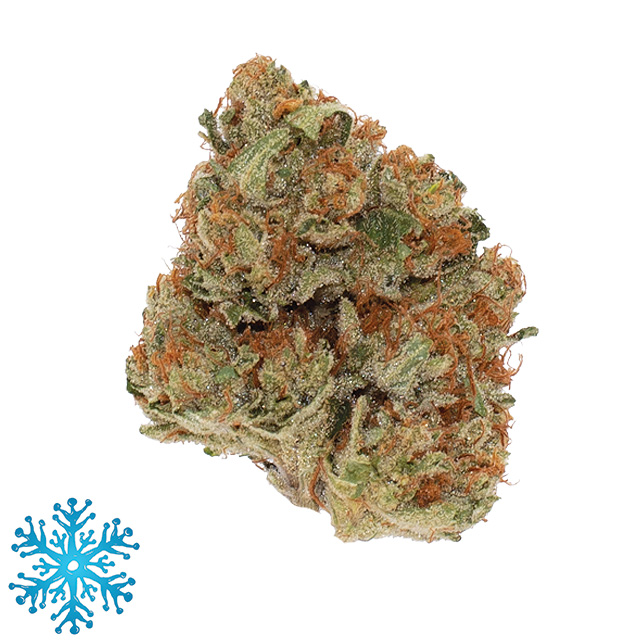 Photograph of product: MOTOR BREATH - 3.5 G