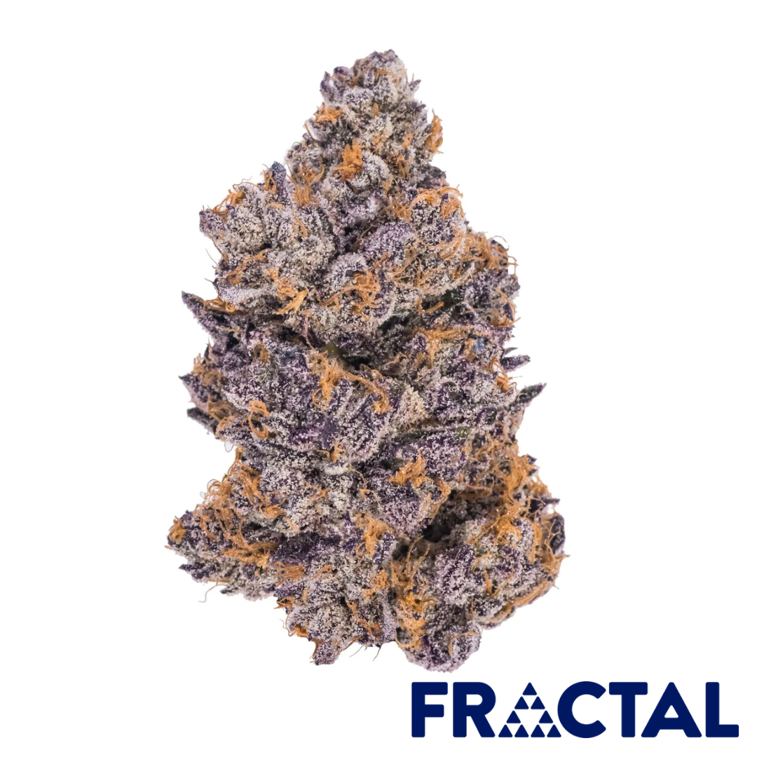 Photograph of product: Fractal | Jealousy - 1g