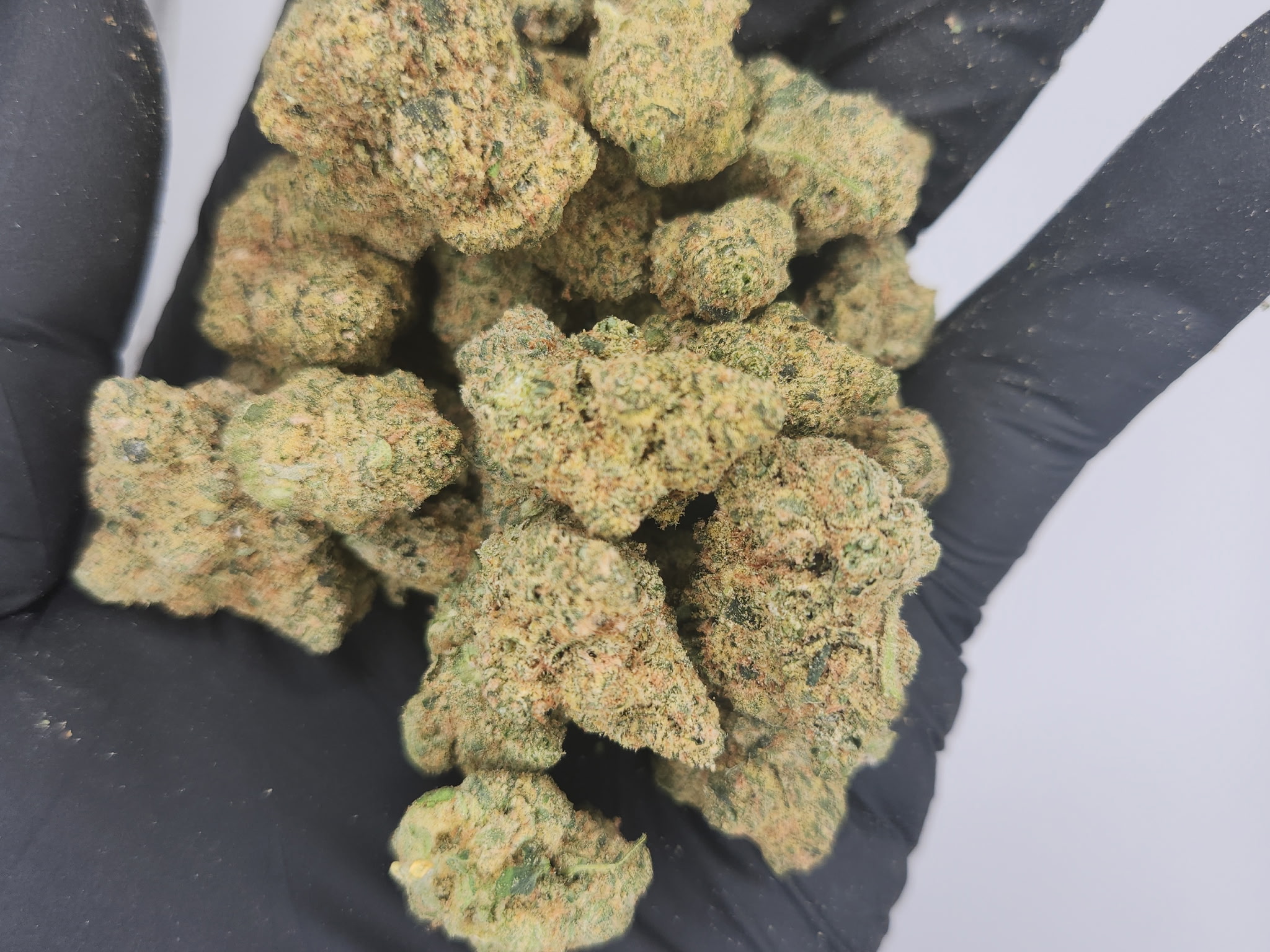 Photograph of product: Bud & Mary's | Bulk Bud - Hot Rod - 28g