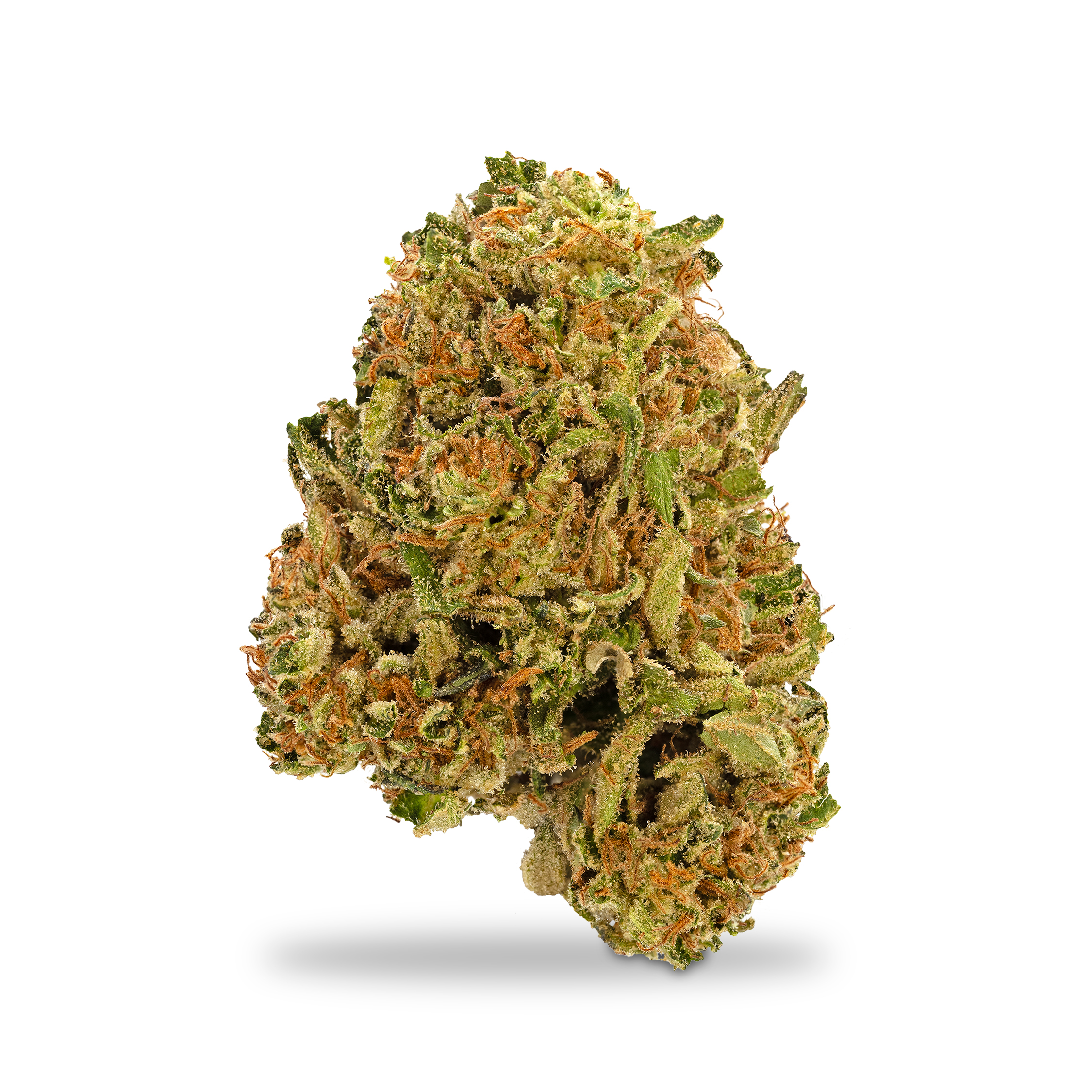 Photograph of product: Grown Rogue - Gelonade - 1g