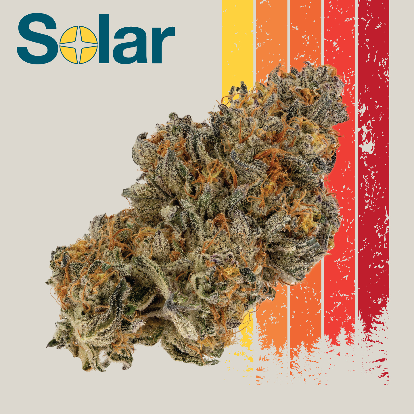 Photograph of product: Wedding Cake | Solar - 3.5g