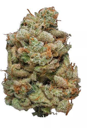 Photograph of product: Flower | Sour Candy Lope - 14g