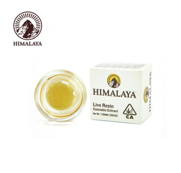 Photograph of product: ISLAND MOUNTAIN HEADBAND - LIVE SUGAR (1G)