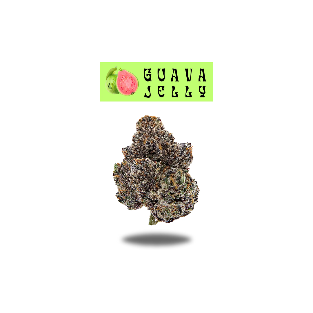 Photograph of product: Oakfruitland - Guava Jelly (S-Hybrid) Flower - 7g