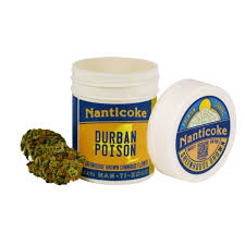 Photograph of product: Nanticoke | Durban Poison | 3.5G Flower