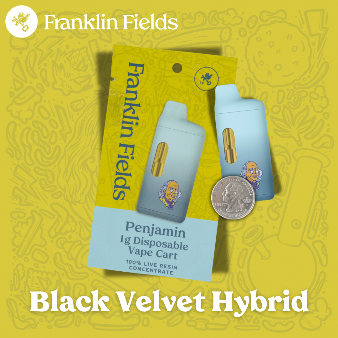 Photograph of product: Black Velvet | Hybrid Live Resin Disposable | Franklin Fields