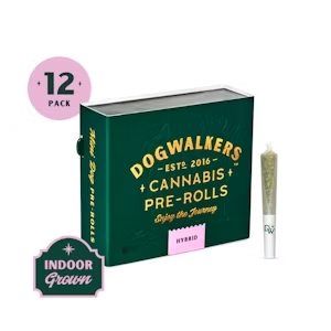 Photograph of product: Creamsicle Sunset | 0.35 12pk Prerolls