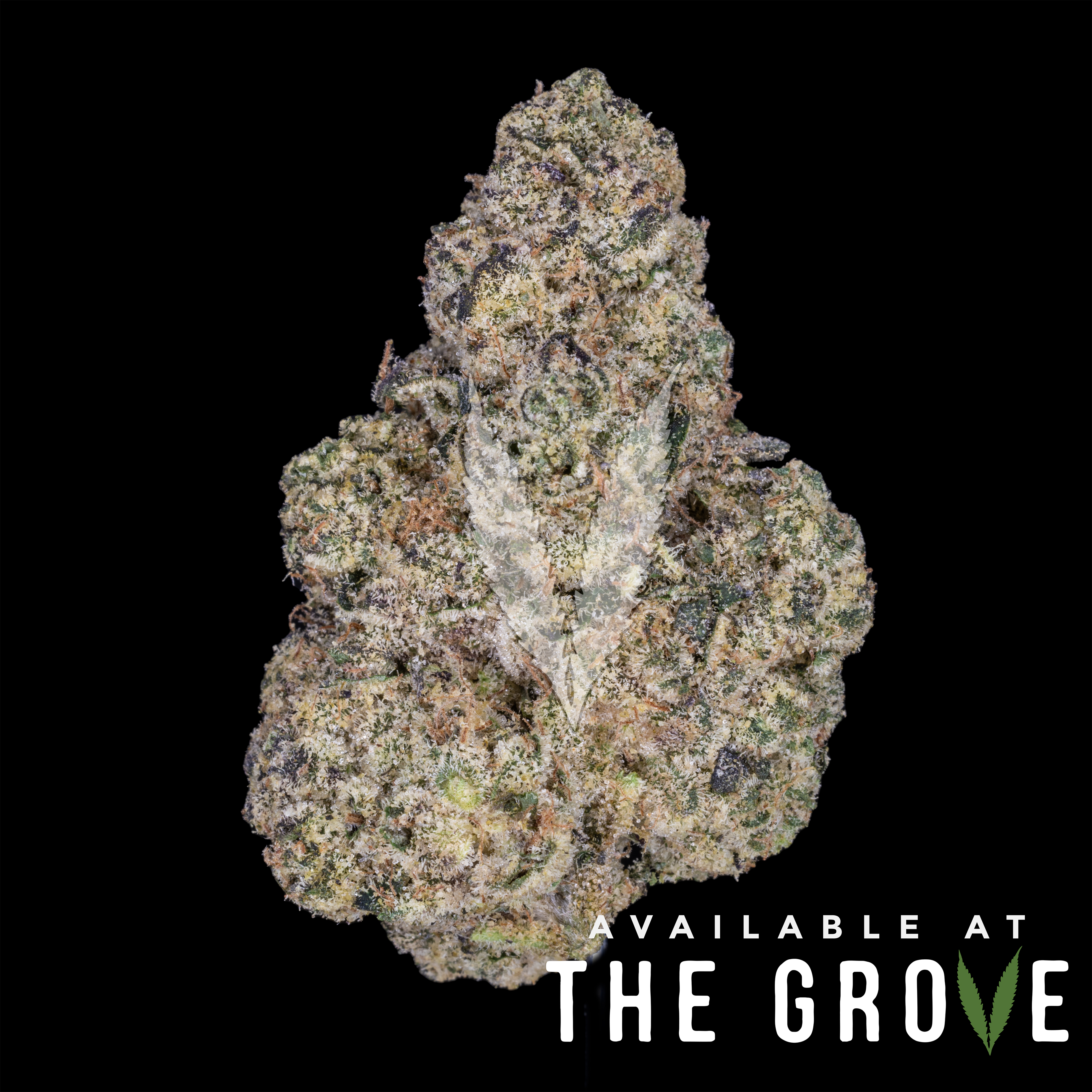 Photograph of product: Cream Of The Crop Gardens | Animal Style 1/8th - 3.5g