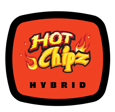Photograph of product: Flower - 93 Boyz - Hot Chipz (H) - 3.5g