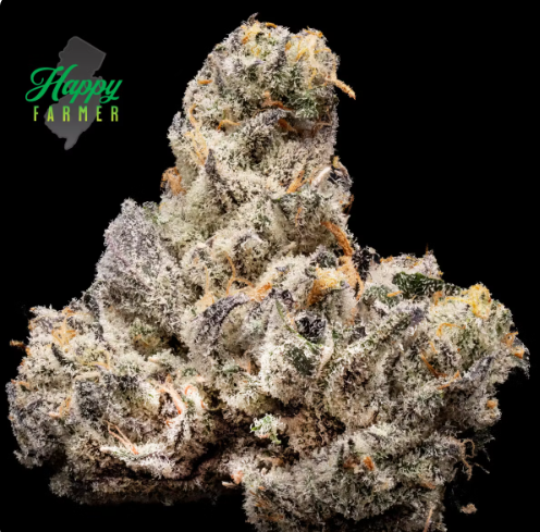 Photograph of product: Happy Farmer | Blackout Bobby - 3.5g