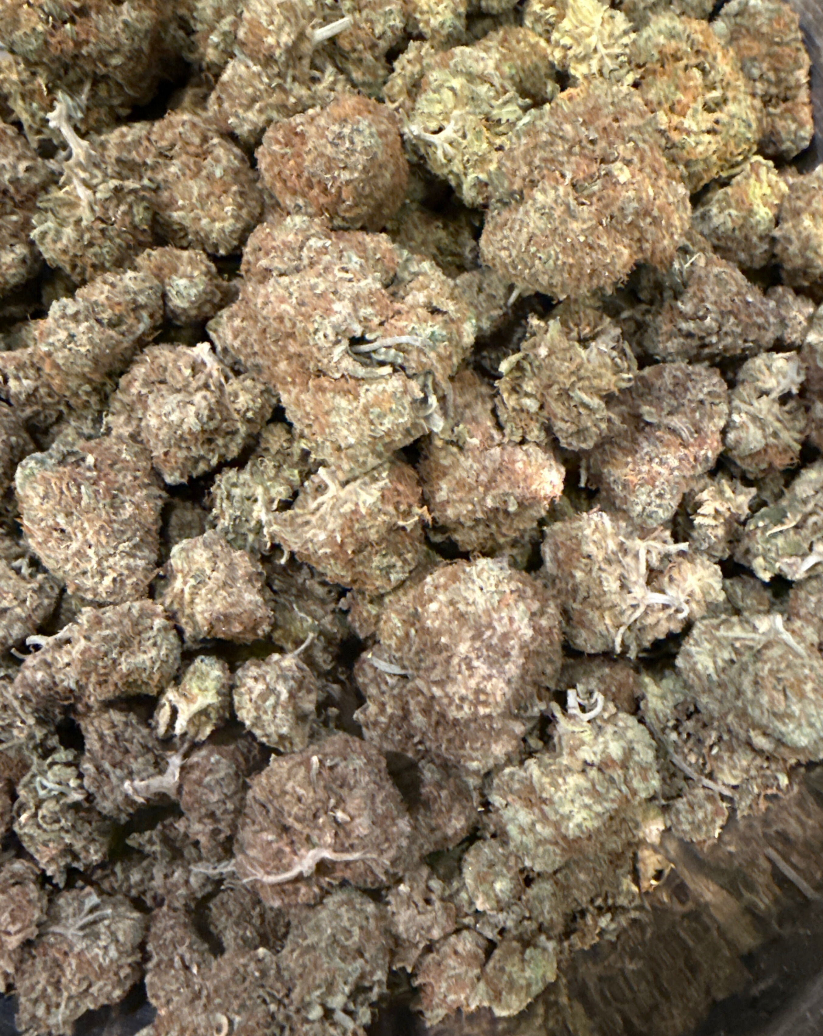 Photograph of product: La Belva | GMO Cookies 3.5g Pre Pack