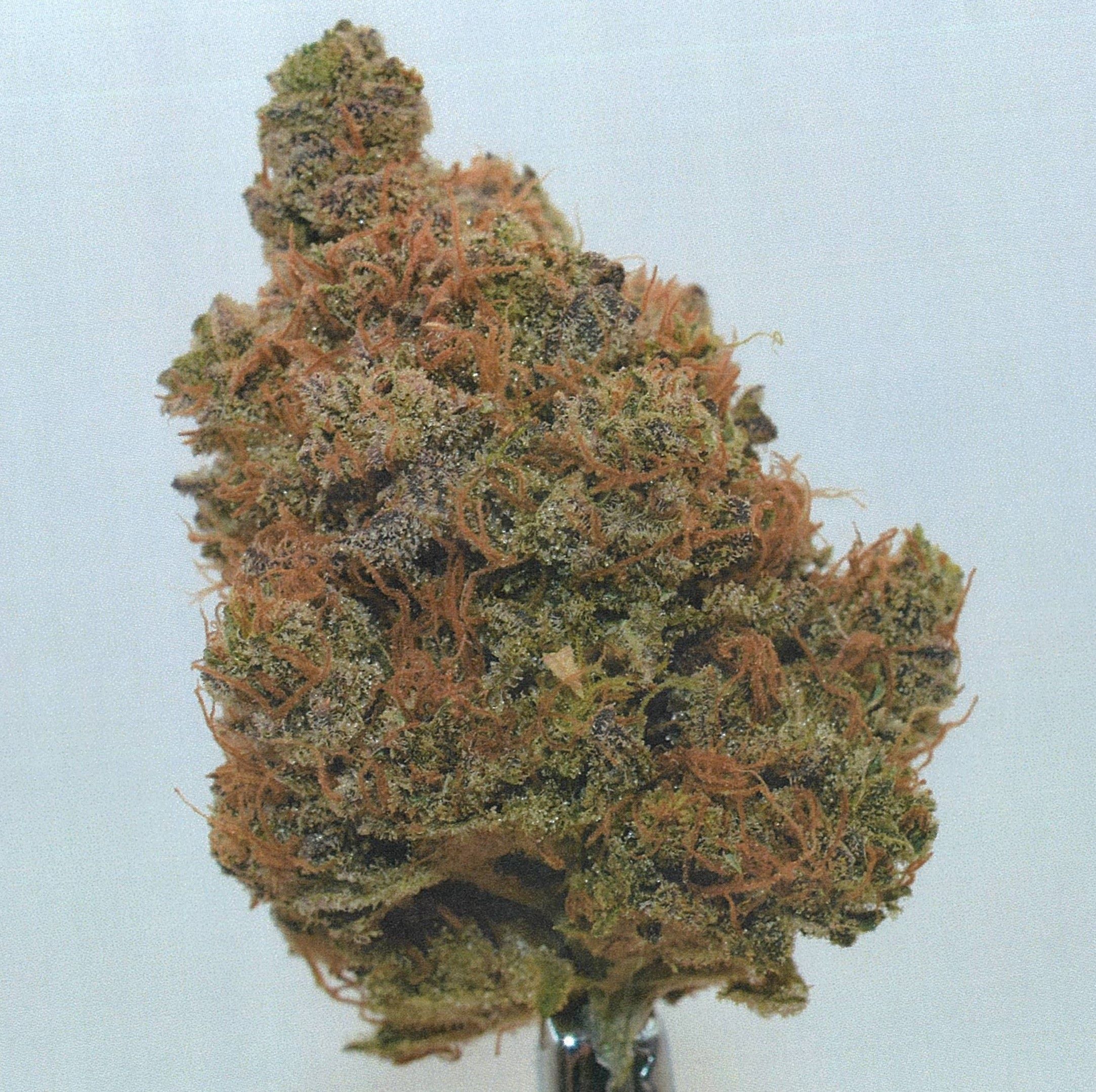 Photograph of product: CURALEAF WHOLE FLOWER 14G RASPBERRY PRFT (S) TC 30.776% 00888
