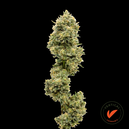 Photograph of product: VERTICAL - FROSTY FRAPPE 7G HYBRID