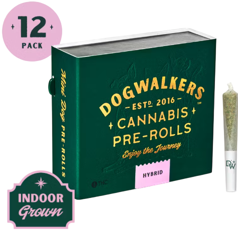 Photograph of product: Gogurtz- Pre-Roll 12 Pack (4.2g)