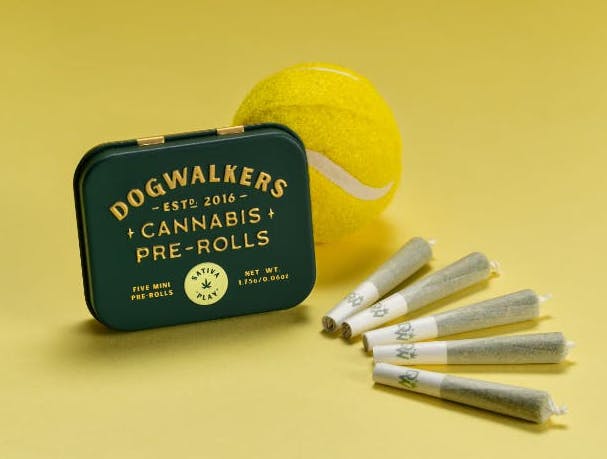 Photograph of product: EAST COAST SOUR DIESEL | 1.75G | 5PK