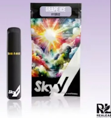 Photograph of product: Grape Ice Disposable ( H ) | 2.5g