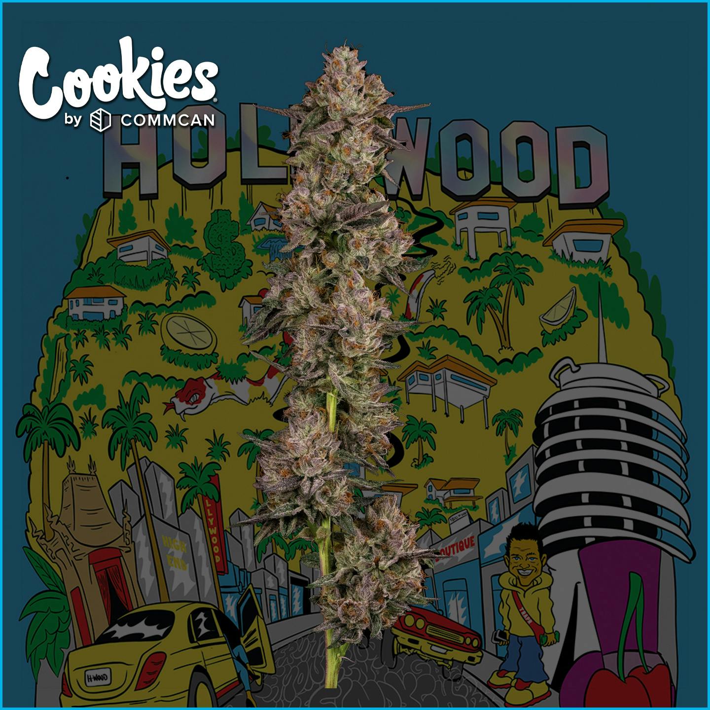 Photograph of product: Hollywood