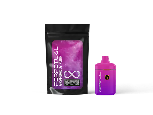 Photograph of product: Disposable Vape - Grand Daddy Purple