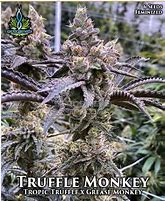 Photograph of Product: Emeraldrose Truffle Monkey - 1g