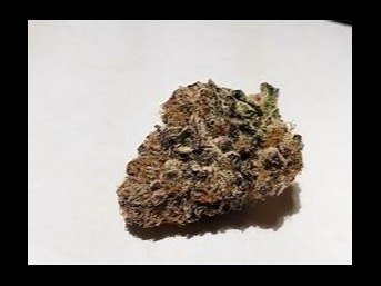 Photograph of Product: Grape Pie # - 1g