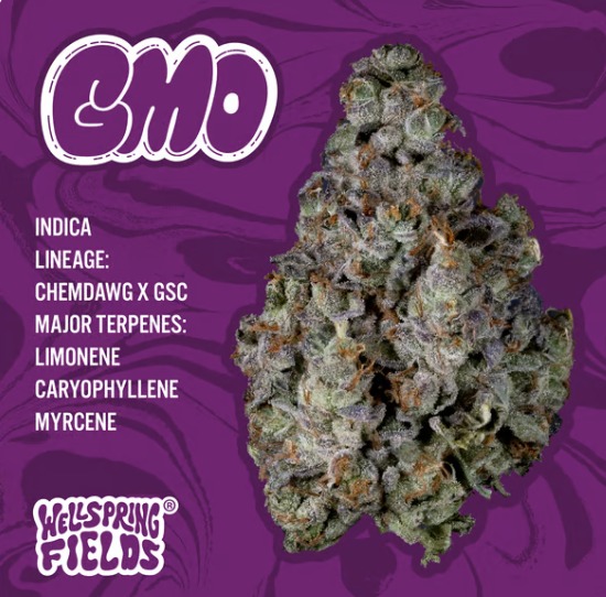 Photograph of product: GMO 14.15g