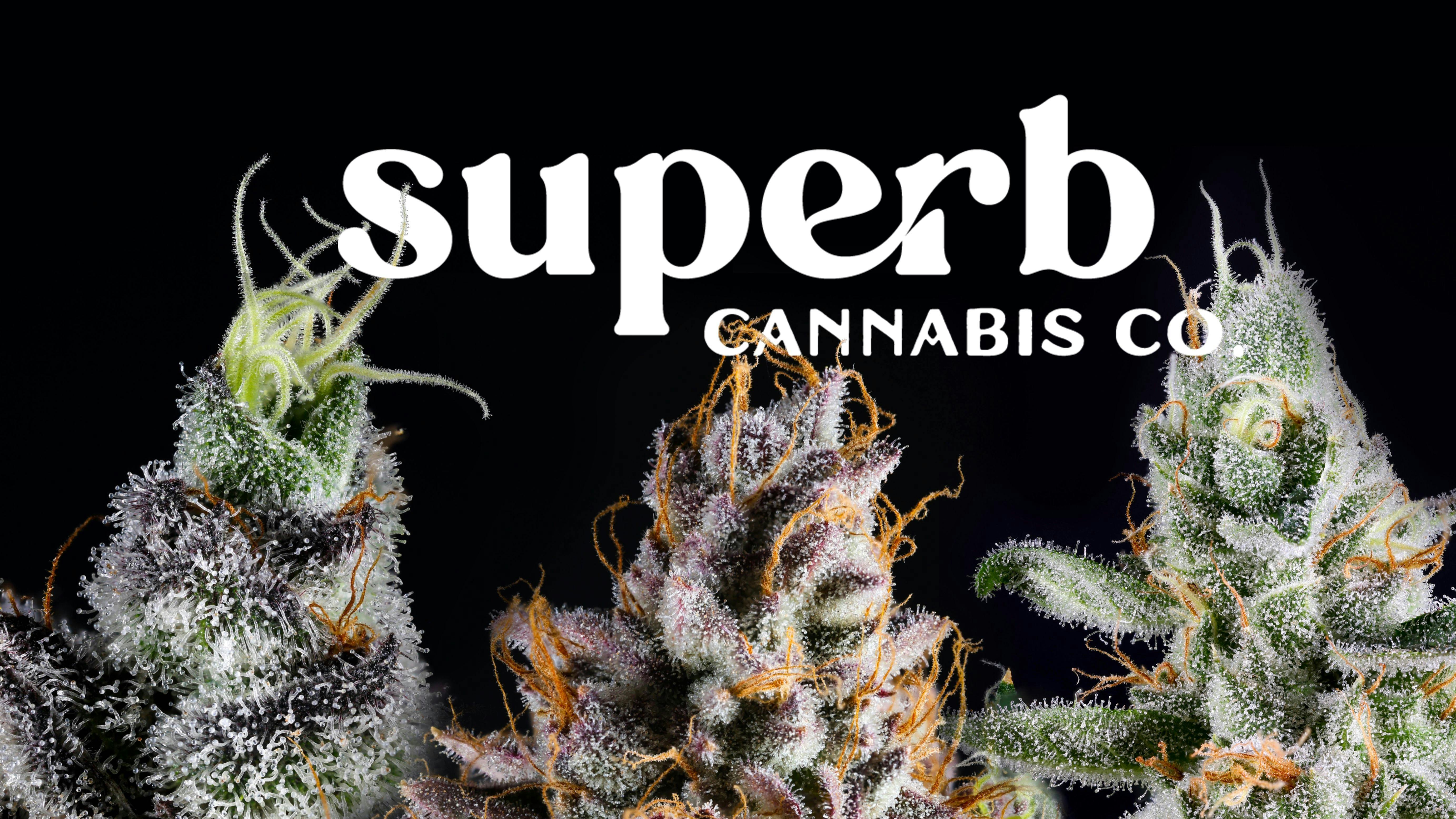 Photograph of product: FROZEN GRAPES