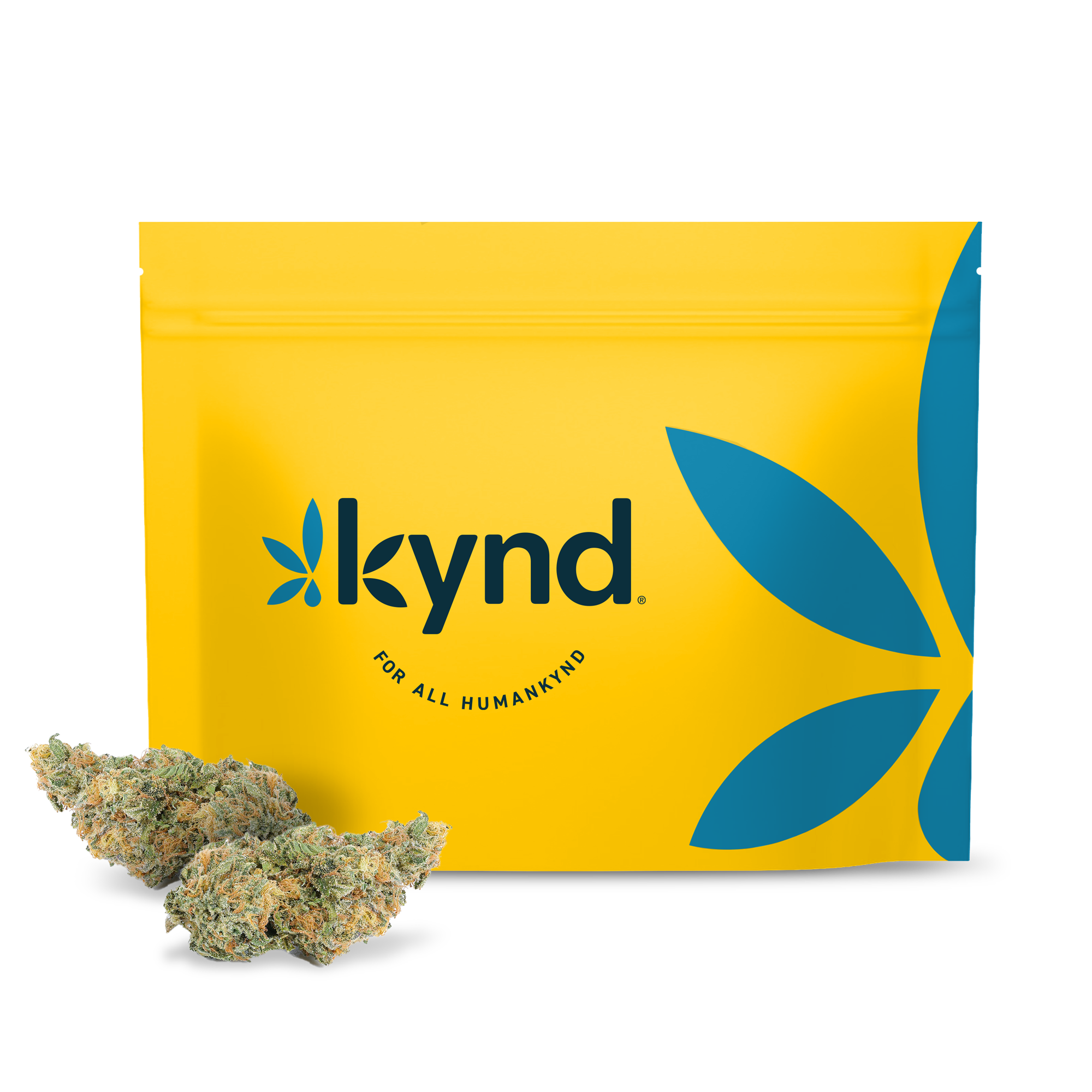 Photograph of product: Kynd Hazelnut Flower - 3.5g