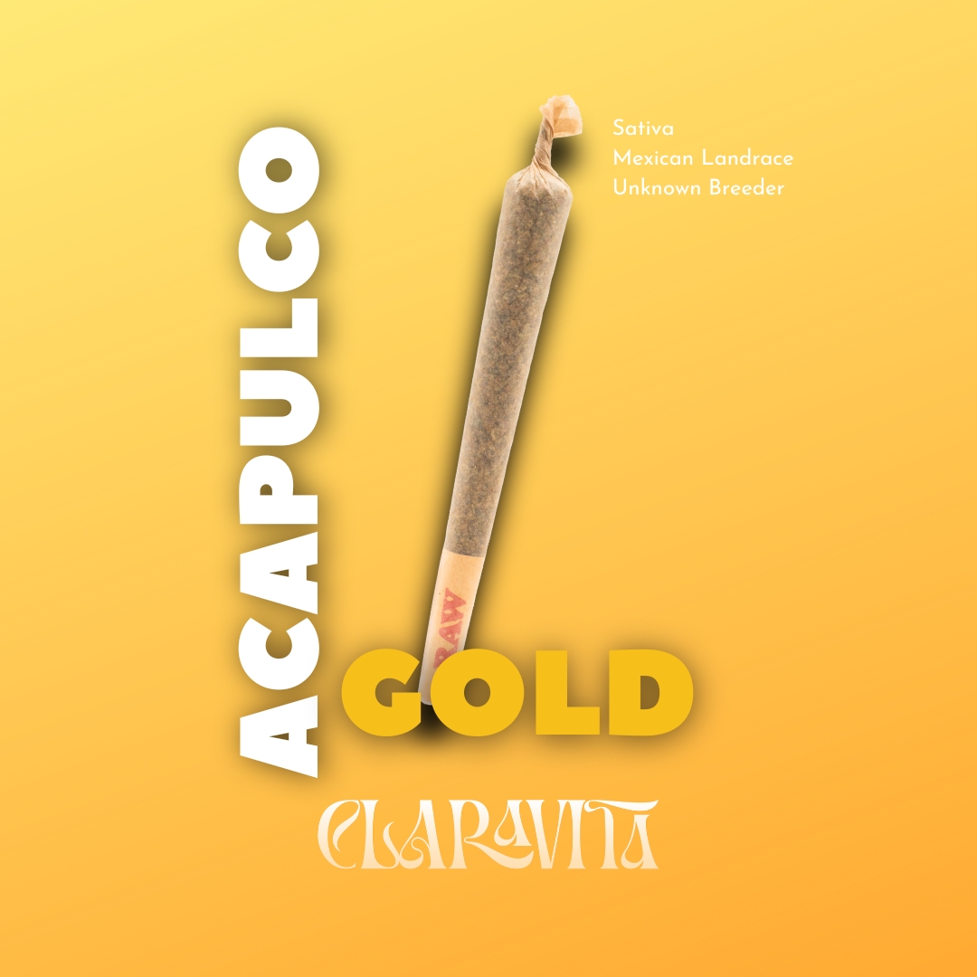 Photograph of product: Acapulco Gold | Straight Rolled Cannon |  1g | by Claravita