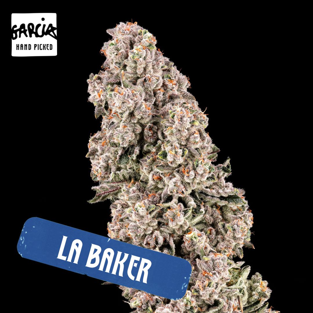 Photograph of product: LA Baker (I)- (3.5g)