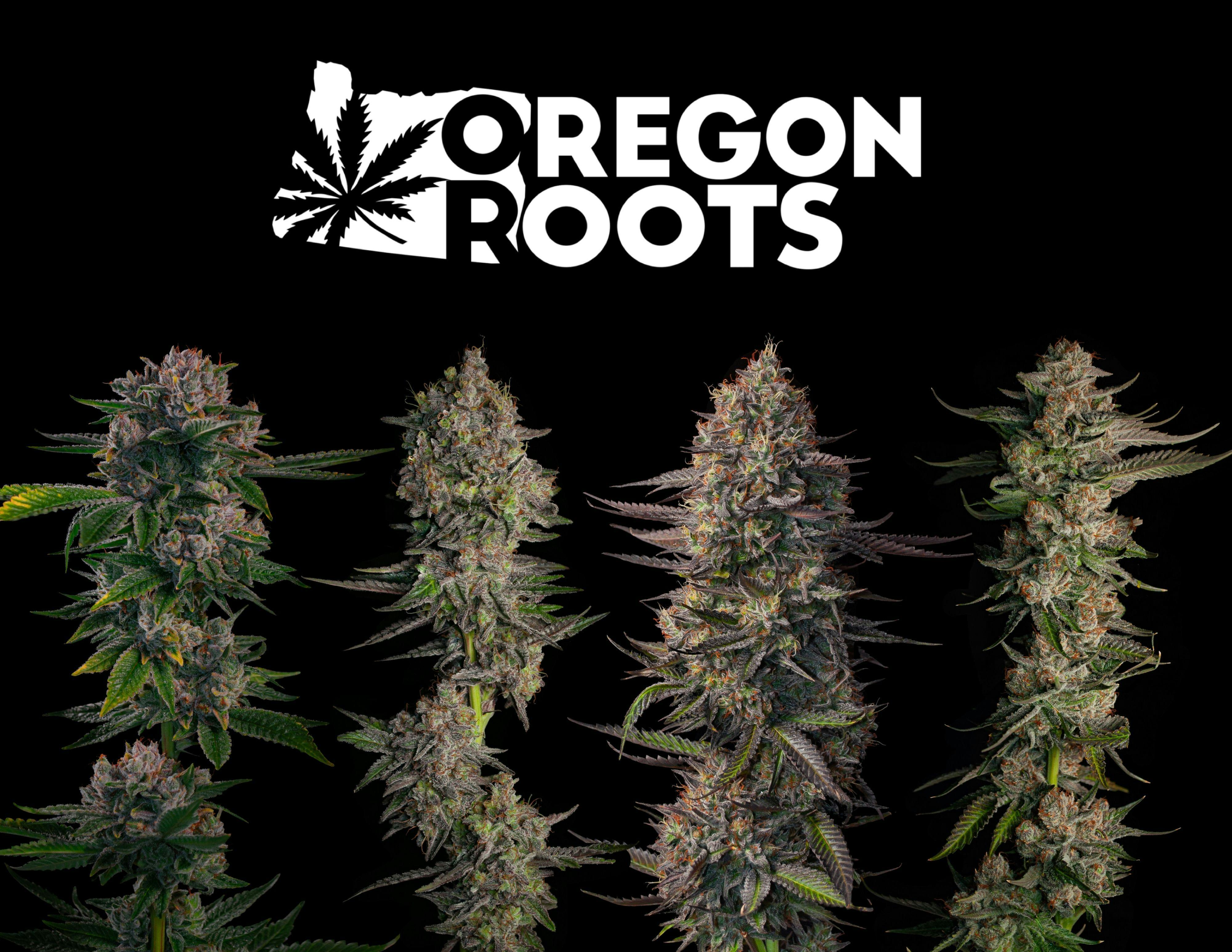 Photograph of product: Oregon Roots | STRAWBERRY OG - 28g
