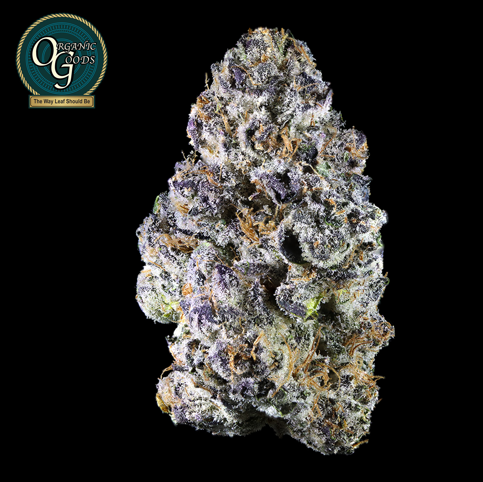 Photograph of product: Iron Lotus cultivated by Koala Tea Grows - 28g