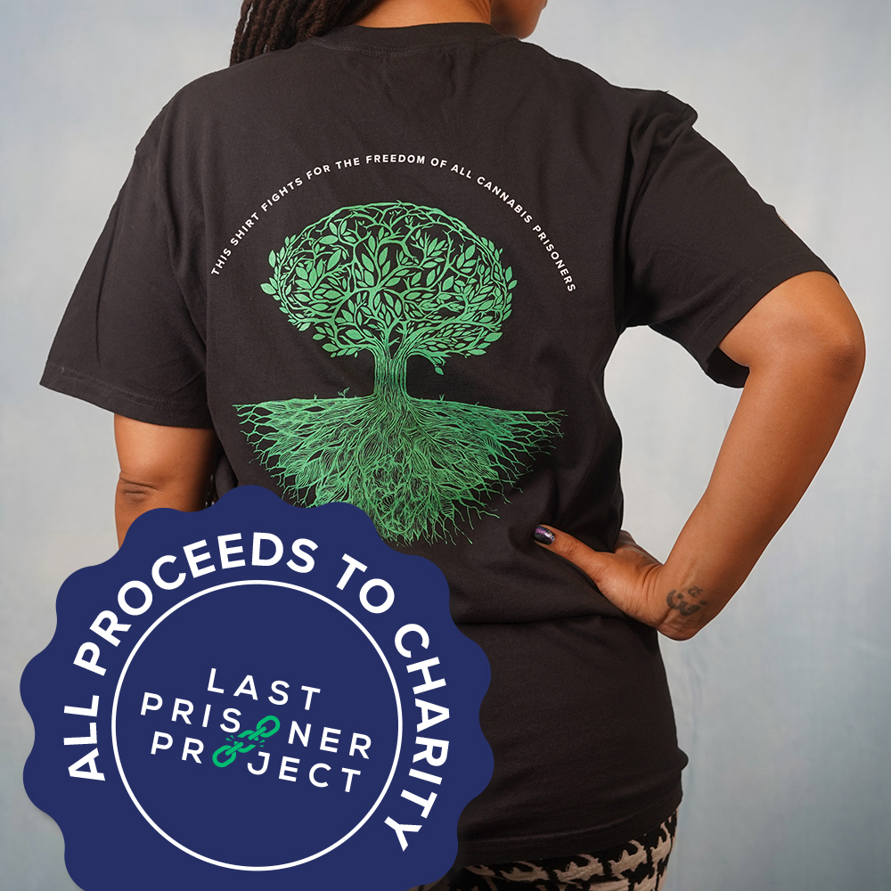Photograph of product: LPP T-Shirt 25' - Black - (M)