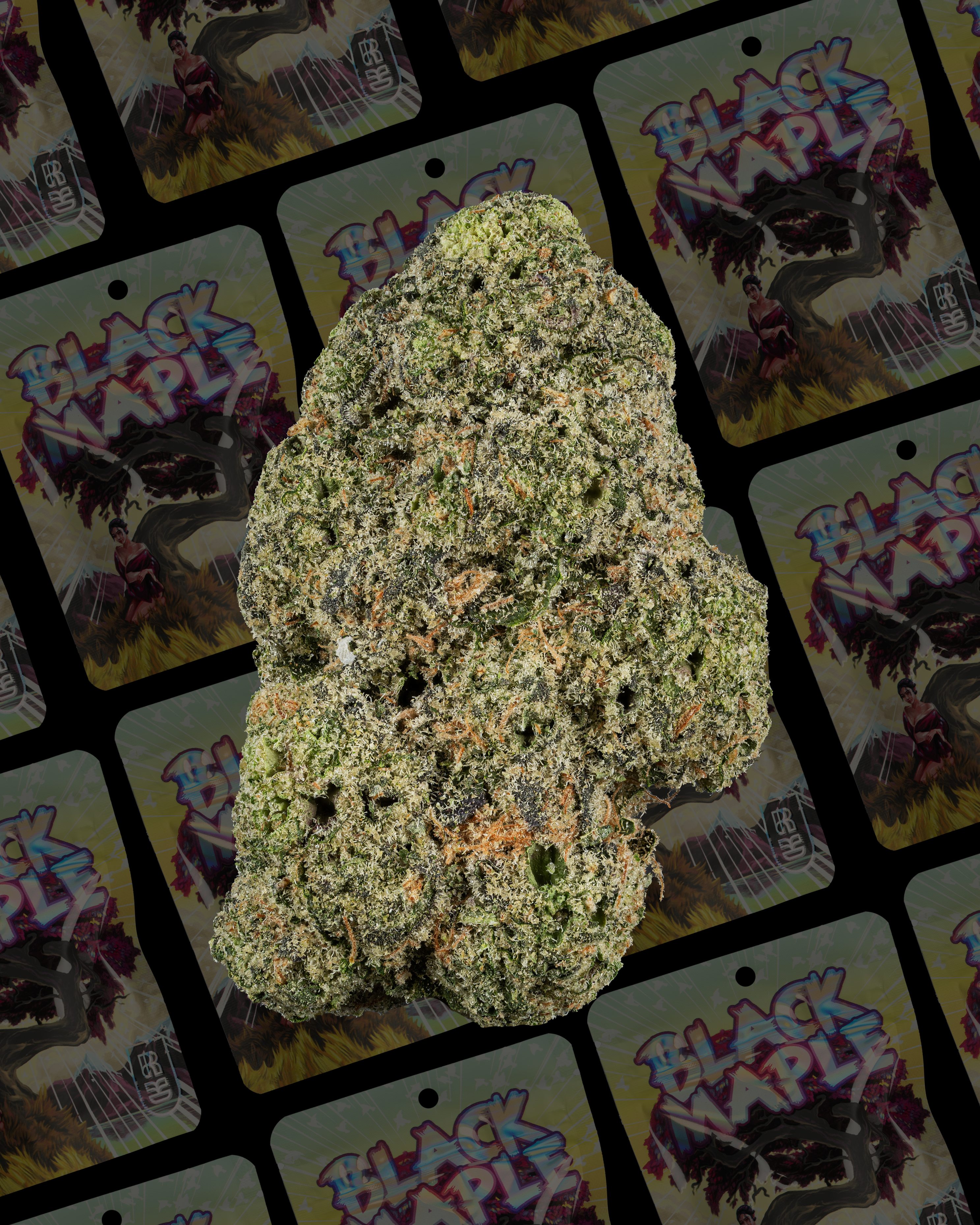 Photograph of product: Rkive | Black Maple Pre-Pack Flower - 3.5g
