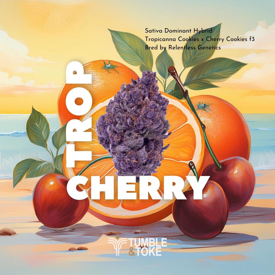 Photograph of product: Tropicana Cherry | Flower | 14g | By Tumble & Toke